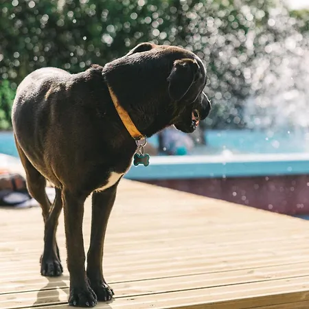 And The Sea Ξενοδοχείο με διαμερίσματα Ericeira